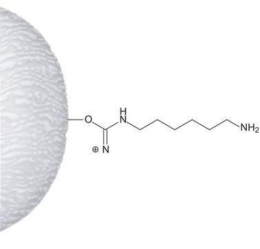 ?-Aminohexyl–Agarose