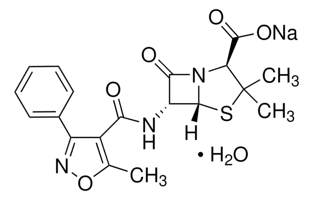 Oxacillin sodium monohydrate
