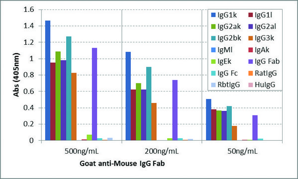 Anti-Mouse IgG Fab-Biotin antibody, Goat