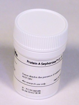 Protein A Sepharose™ Cl-4B