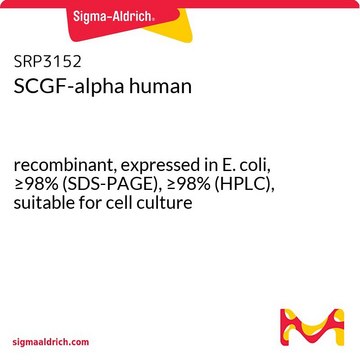 SCGF-alpha human