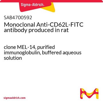 Monoclonal Anti-CD62L-FITC antibody produced in