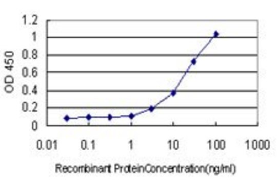 Monoclonal Anti-TP53BP1 antibody produced in