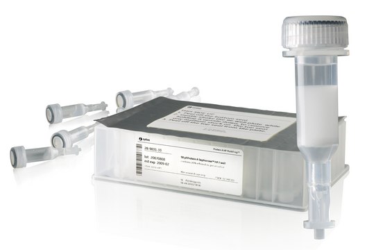 Protein A High Performance Spintrap™