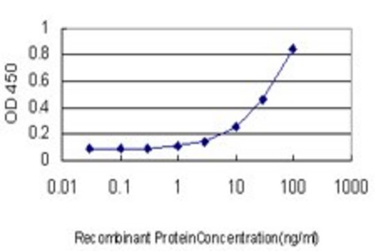 Monoclonal Anti-CGRRF1 antibody produced in