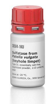 Sulfatase from Patella vulgata (keyhole