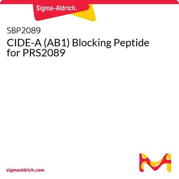 CIDE-A (AB1) Blocking Peptide for
