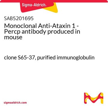 Monoclonal Anti-Ataxin 1 - Percp