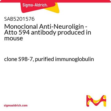 Monoclonal Anti-Neuroligin - Atto 594