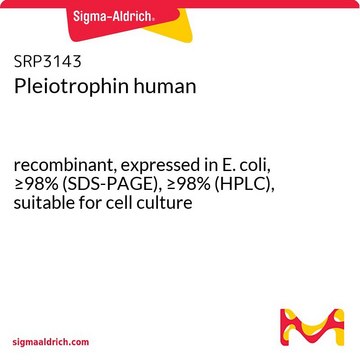 Pleiotrophin human