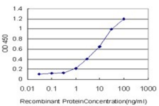Monoclonal Anti-CLDN5 antibody produced in