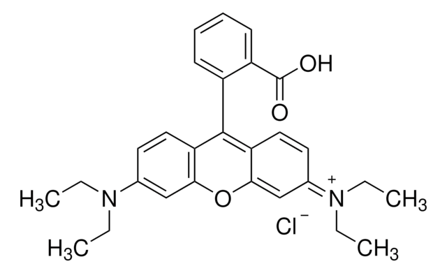 Rhodamine B solution