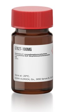 Guanosine 5?-monophosphomorpholidate 4-morpholine-N,N?-dicyclohexylcarboxamidine salt