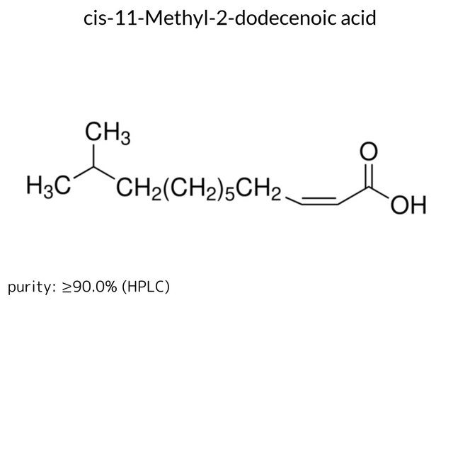 cis-11-Methyl-2-dodecenoic acid