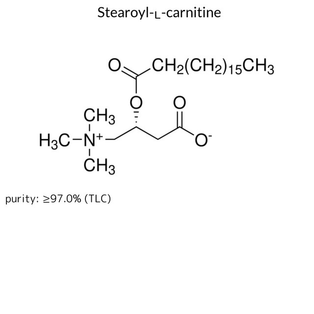 Stearoyl-?-carnitine