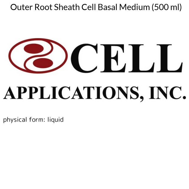 Outer Root Sheath Cell Basal