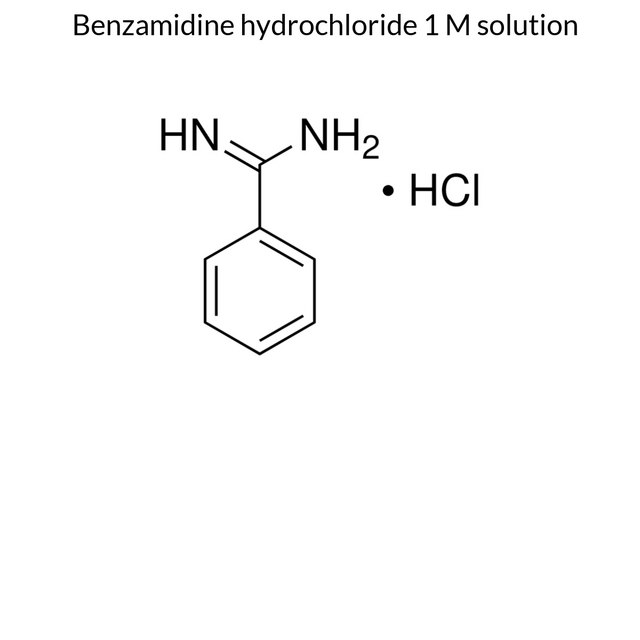 Benzamidine hydrochloride 1 M solution