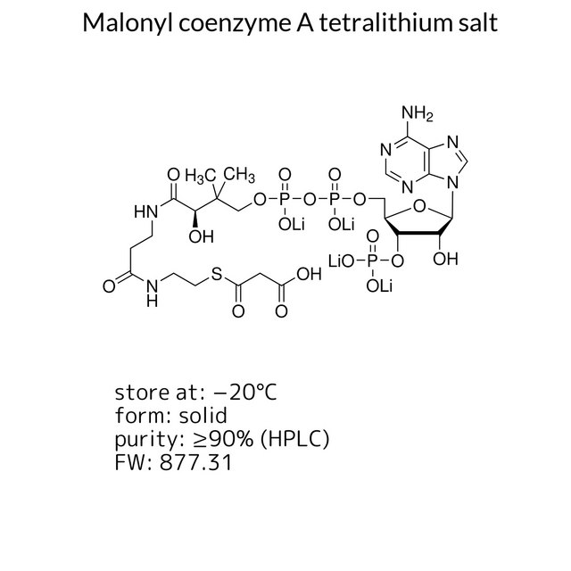 Malonyl coenzyme A tetralithium salt