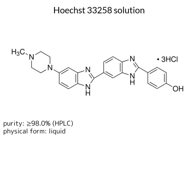 Hoechst 33258 solution