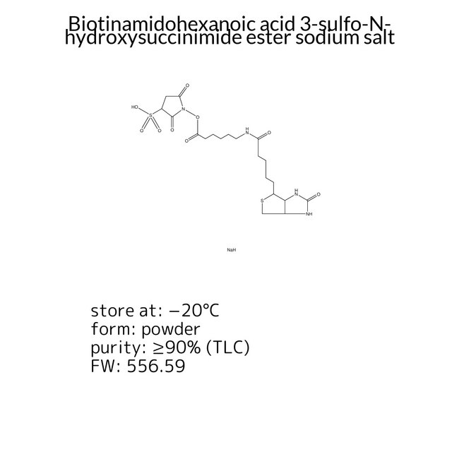 Biotinamidohexanoic acid 3-sulfo-N-hydroxysuccinimide ester sodium