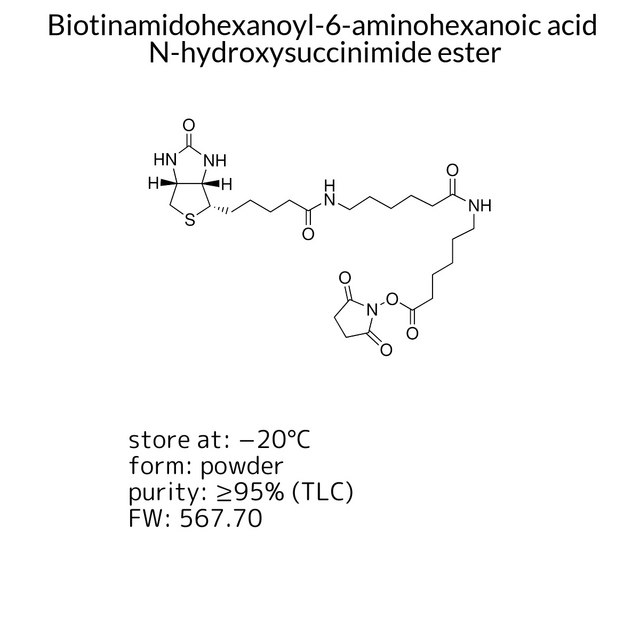 Biotinamidohexanoyl-6-aminohexanoic acid N-hydroxysuccinimide ester