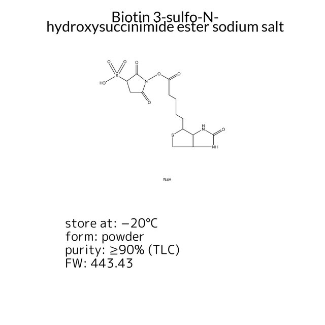 Biotin 3-sulfo-N-hydroxysuccinimide ester sodium salt