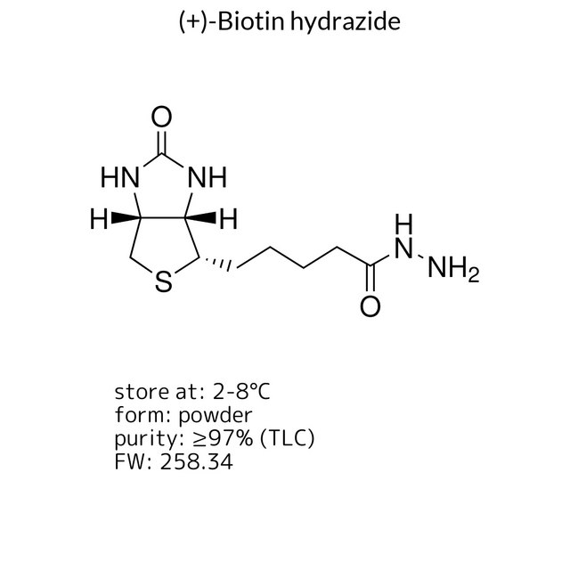 (+)-Biotin hydrazide